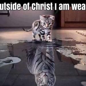 Meet your Posher, Bob